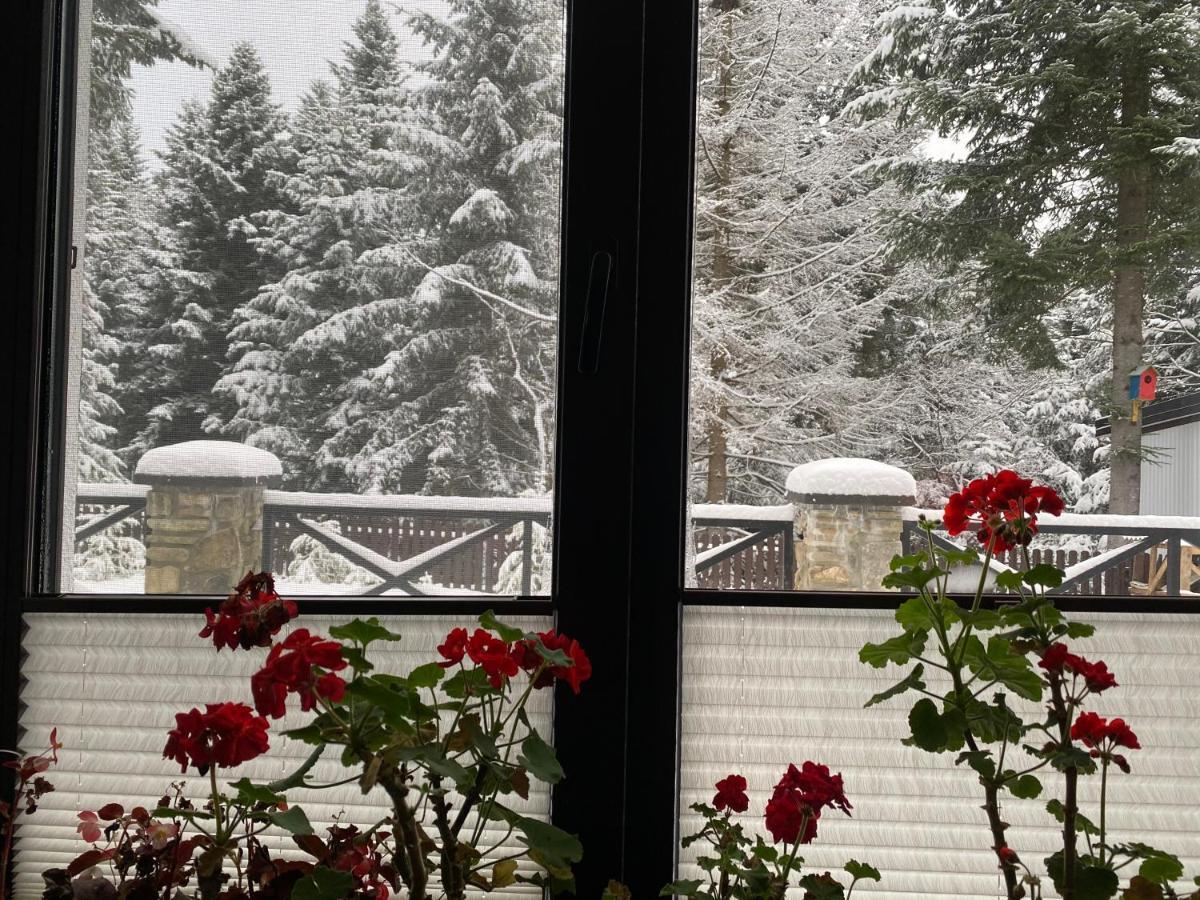 Феєрія Лісу Aparthotel Skhidnytsia Екстериор снимка