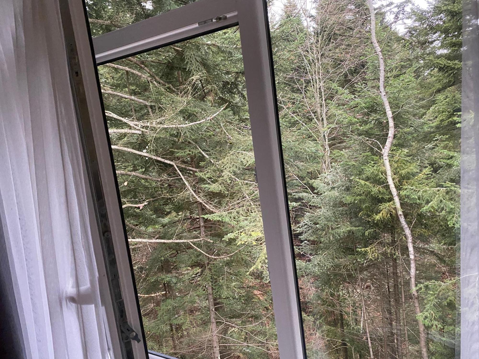 Феєрія Лісу Aparthotel Skhidnytsia Екстериор снимка