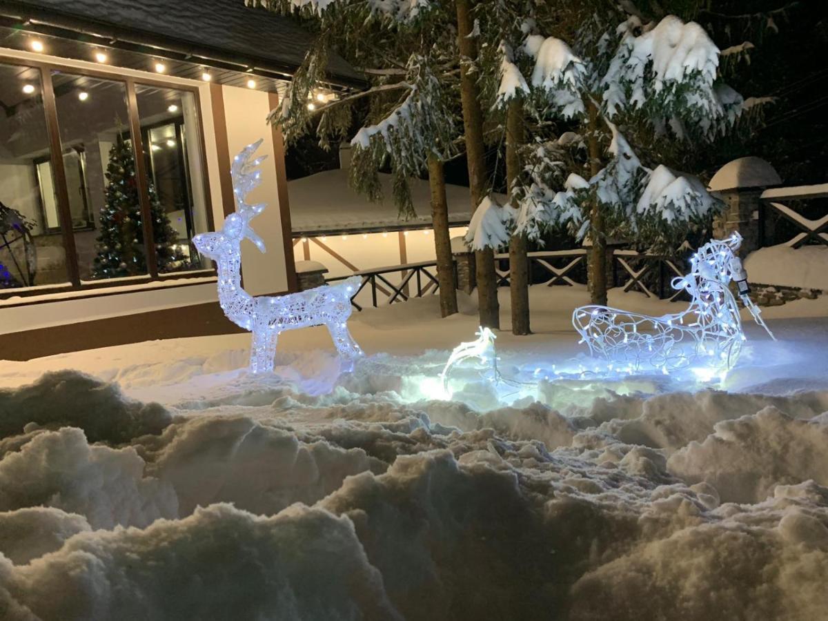 Феєрія Лісу Aparthotel Skhidnytsia Екстериор снимка